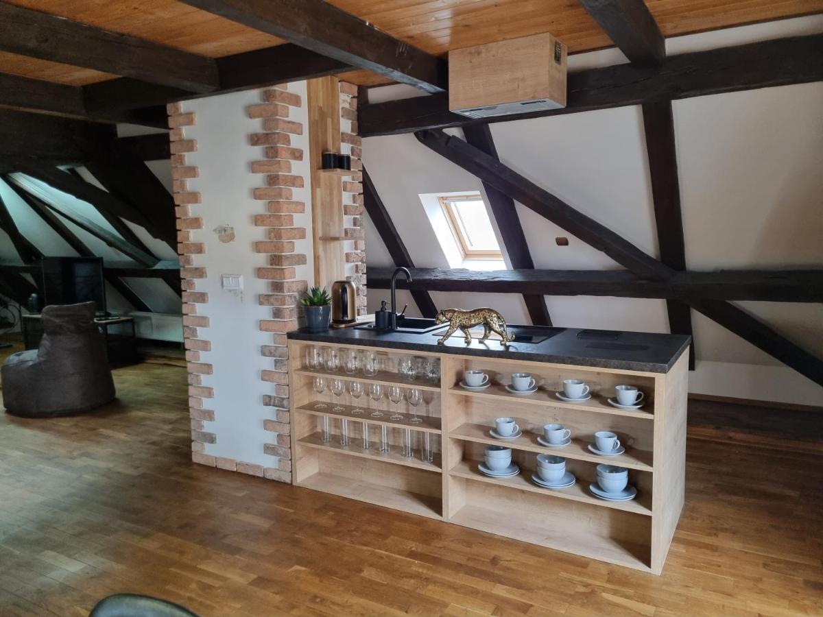 Galerie Vila Lucia 5 -Loft Apartman Πίλζεν Εξωτερικό φωτογραφία